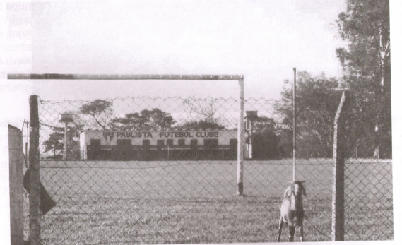 campo paulista