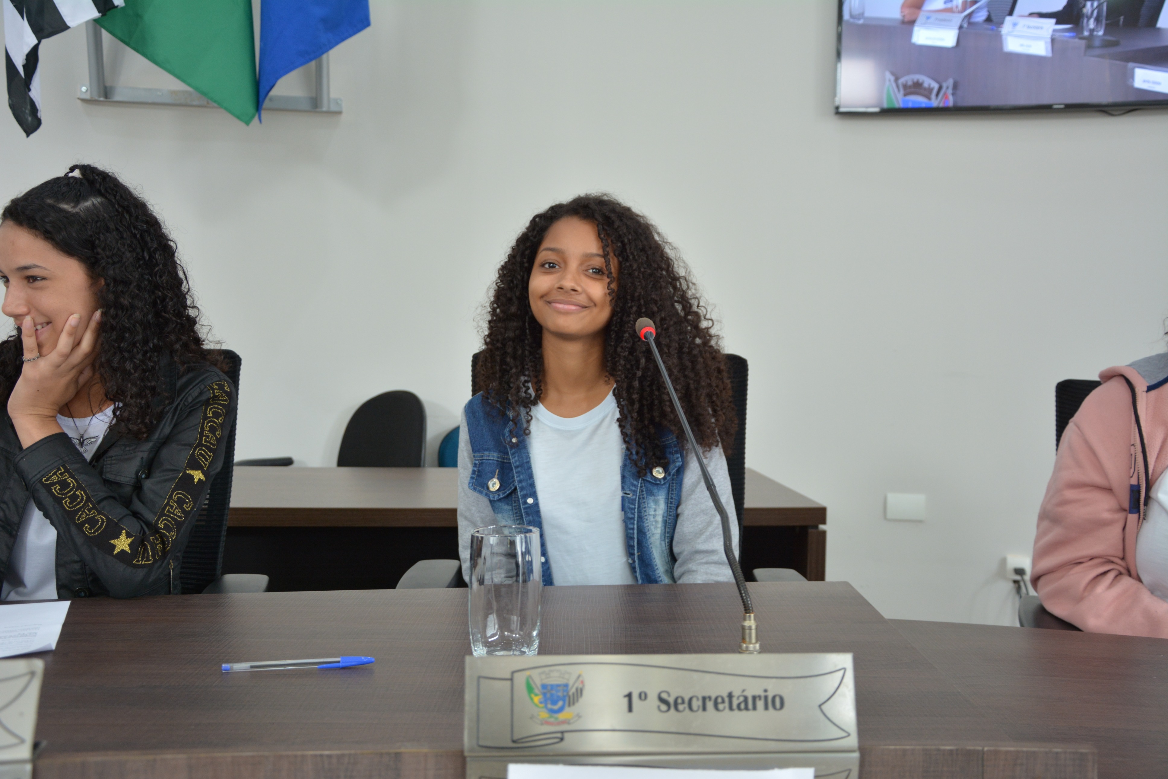 CÂMARA MIRIM (33).JPG