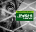Dezembro Verde: campanha visa prevenção de maus-tratos e do abandono de animais