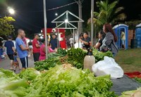 Legislativo aprova fim de barracas padronizadas em feiras de Álvares Machado