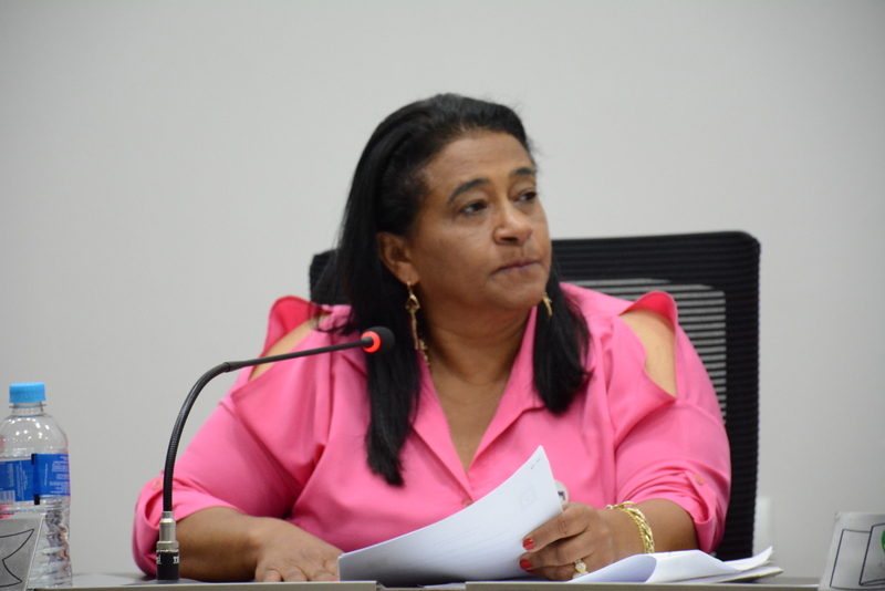 Vereadora cobra implantação de sinalização na Vicinal Vereador José Molina