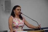 Vereadora Lê do Projeto pontuou sobre a distribuição de fraldas para idosos em Sessão Plenária