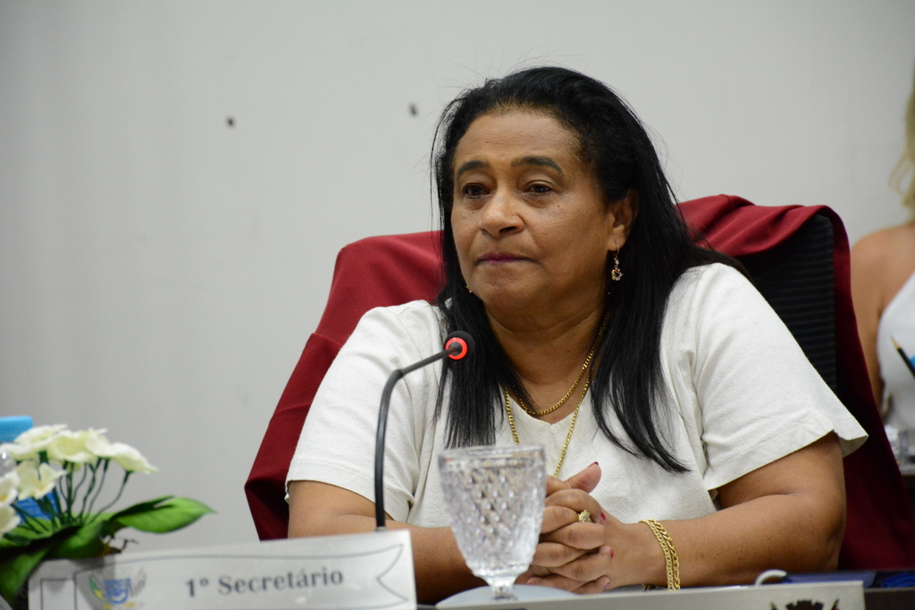 Vereadora pede pavimentação de rua no Jardim Raio do Sol