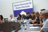 Vereadores aprovam dois projetos e cinco requerimentos em sessão ordinária