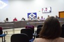 Vereadores cobram cronograma de podas de árvores e finalização de via